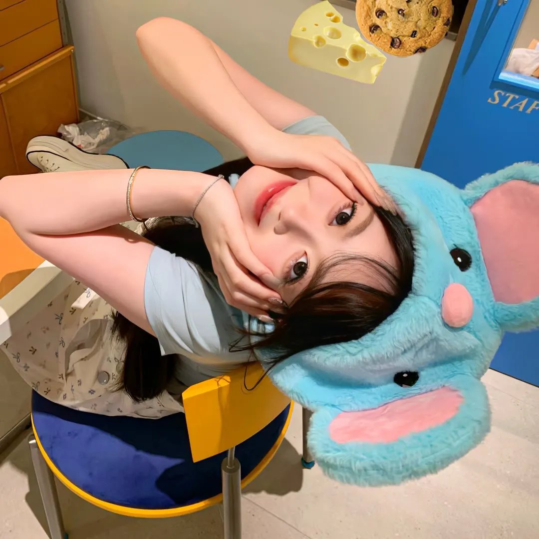 老鸟出招